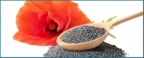 California-Poppy-Poppy-Seed-1 (1)
