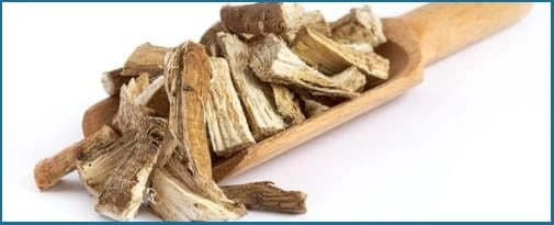 Marshmallow-Root1 (1)