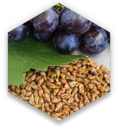 hex-grape-seeds